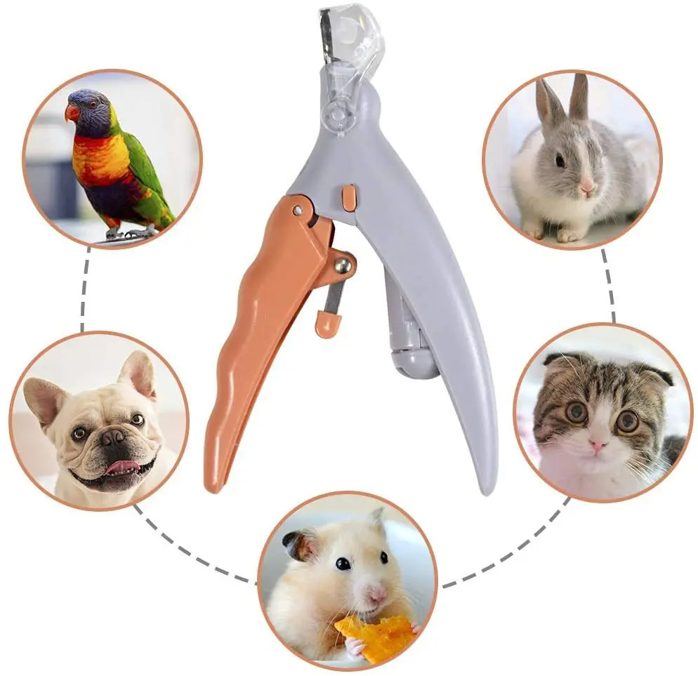 Professional Pet Nail Clipper  - Grooming Scissors review and price