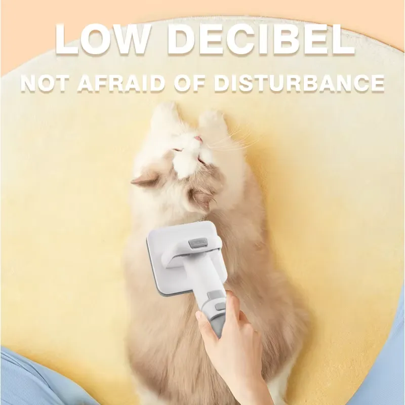 for DSP Professional Pet Groom - Grooming Kit review and price